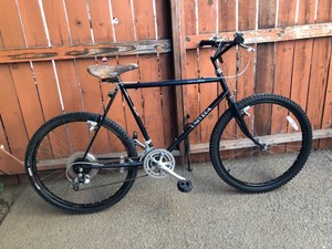 univega alpina ultima