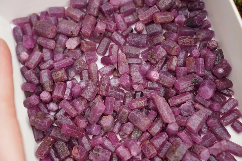 100.00% Natural Mozambique Red Ruby Facet Grade Gemstone Rough Lot AAA+ 1000 Ct  - Image 4 of 4