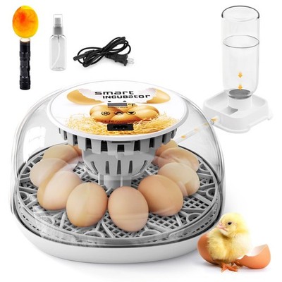 Automatic Egg Incubator for Hatching 12 Eggs, 360° Clear Window, Temp Display, E