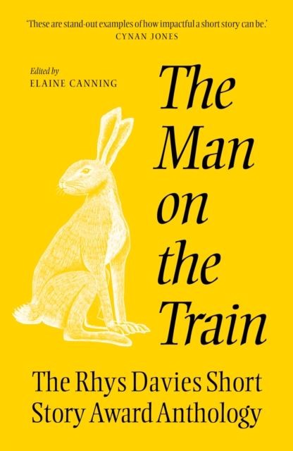 The The Man on the Train by Elaine Canning Paperback