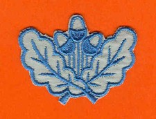 DDR WaWi , Dienstlaufbahnabzeichen Forst Forstmitarbeiter  Sommer