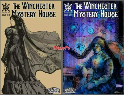 Winchester Mystery House #1 Cover A B Variant Set Options Source Point Comics NM