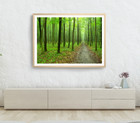 Trees & Forest Print, Plants Wall Art, Forest Framed Nature Wall Art, Natural