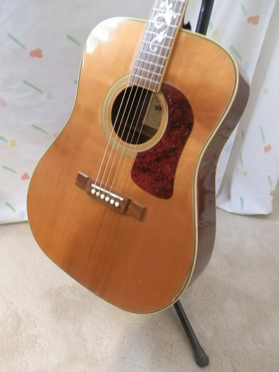 【レア】Washburn D95LTD 1995年 限定モデル ワッシュバーン 1995 WASHBURN D95LTD LIMITED #1217 0F 1995. JUST SET UP