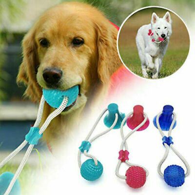 dog suction cup toy