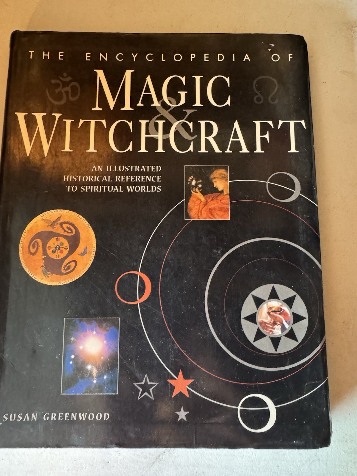 Illustrated History of Magic and Witchcraft by Susan Greenwood (2012, Hardcover)