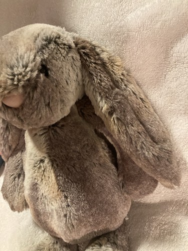 JellyCat Plush Bashful ? Woodland Bunny - Picture 4 of 17