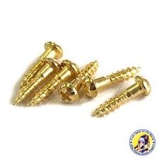 YJB PARTS Rotomatic Peg Screws Set of 6 Gold Made in Japan