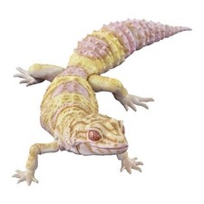 Figura de acción Bandai Gashapon Leopardo Gecko AVANCE Bell Albino 17 cm Japón 2026