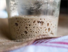 THE ORIGINAL SAN FRANCISCO SOURDOUGH STARTER "sally"  many recipes  fresh