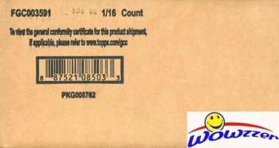 wwe money in the bank collectors case