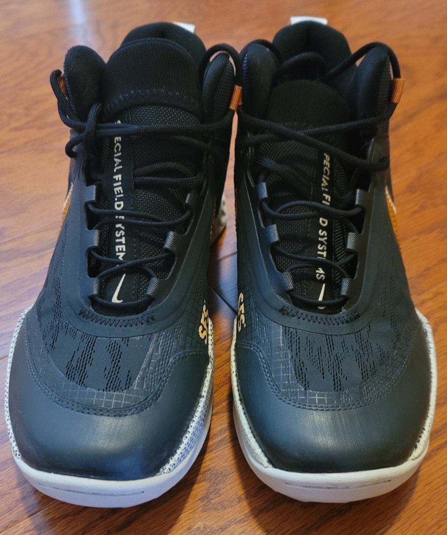 NEW Men's Nike React SFB SFS Carbon Boots/shoes Hiking Size 10