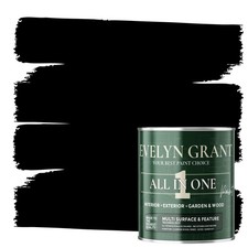 Evelyn Grant All-IN-ONE Paint & Primer Multi-Surface Paint Interior And Exterior
