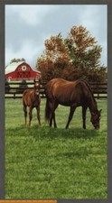 Horse Animal Fabric Horses Barn Pasture Thistle Hill Cotton Windham 24" Panel