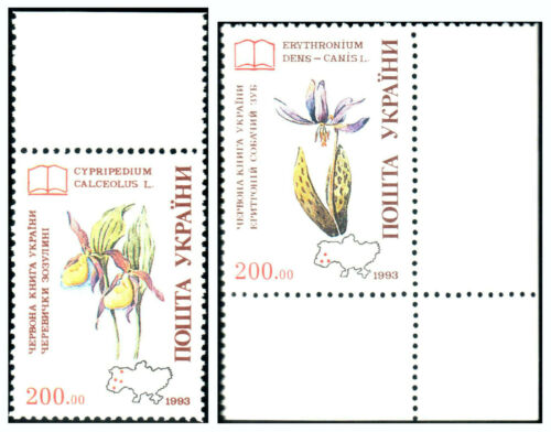 Znaczki Kwiaty Chronione storczyki Flora Ukraina Czerwona księga Natura Rośliny Lilia 1994 - Zdjęcie 1 z 2