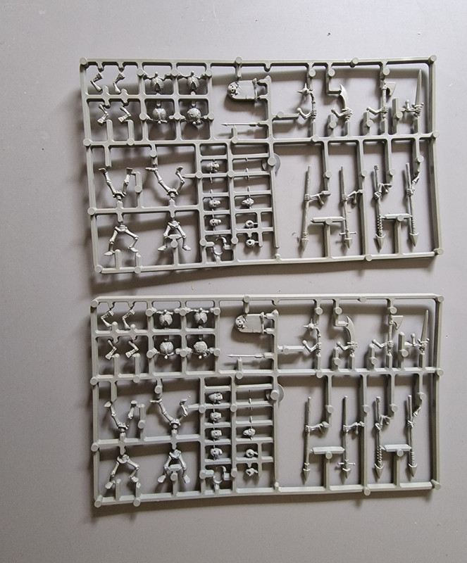 Games Workshop warhammer undead sprues