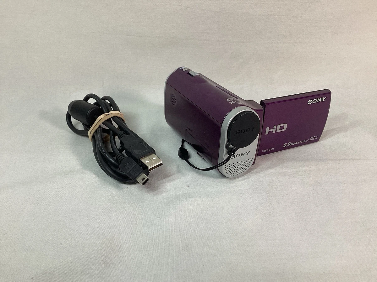 Sony High Definition 2-9x Optical Zoom Camcorders for sale | eBay