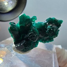 Seltene Dioptas XX Stufe, grün Republik Kongo 22*15*14mm