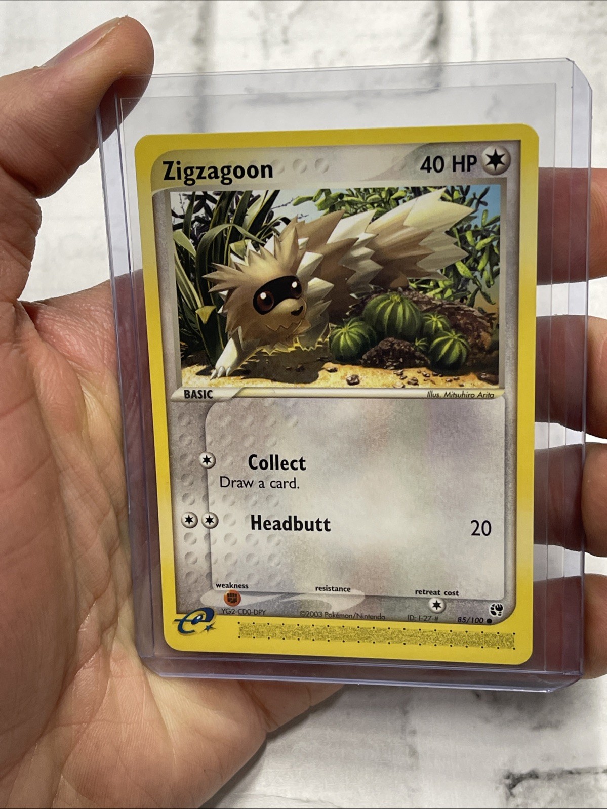 Pokémon TCG Zigzagoon EX Sandstorm 85/100 Regular Common NM/MT Vintage Card TCG