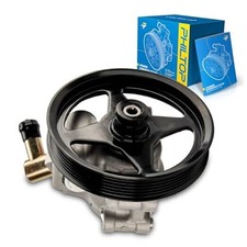Power Steering Pump 20282, Fit for 1997-2003 F-150, 1999-2002 Grand Marquis,