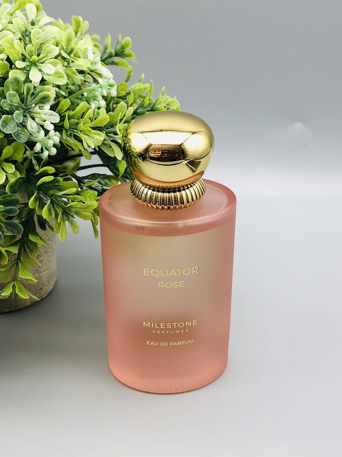 Milesstone Roses Equator Rose By Milestone Eau De Parfum Spray 3.4 oz New