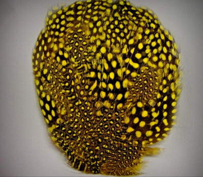 Yellow Guinea Pheasant Feather Pad Hat Headband Purse Sew or Glue on    