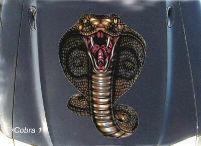 LARGE-SIZED CAR DECALS - COBRA