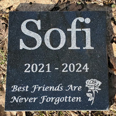Pet Memorial Granite Stone Engraved Grave Marker Headstone Garden 6x6 Plaque D4