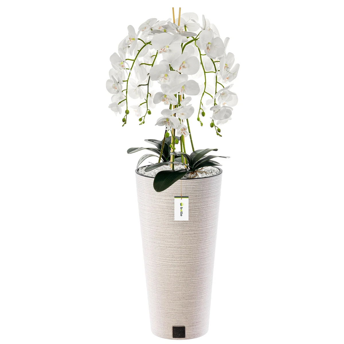 Weie Deko-Orchideen online kaufen | eBay.de