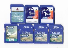 Lot Of 7x PNY / Dane-Elec / Kingston 1GB SD Camera Memory Cards