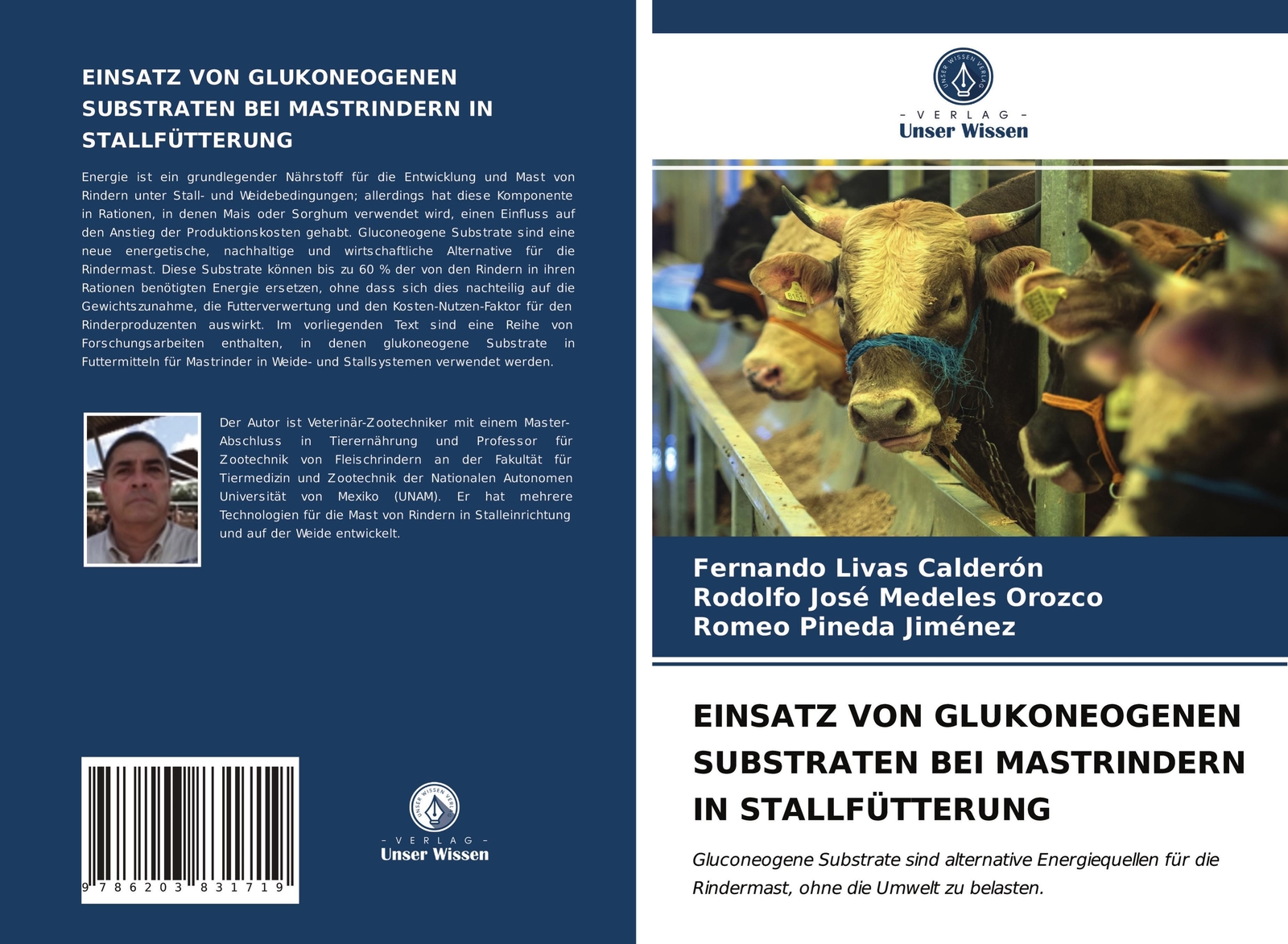 Thumbnail - Einsatz Von Glukoneogenen Substraten Bei Mastrindern In Stallfütterung