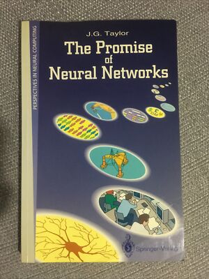 The Promise Of Neural Networks, Perspectives In Neural Computing, J. G. Taylor