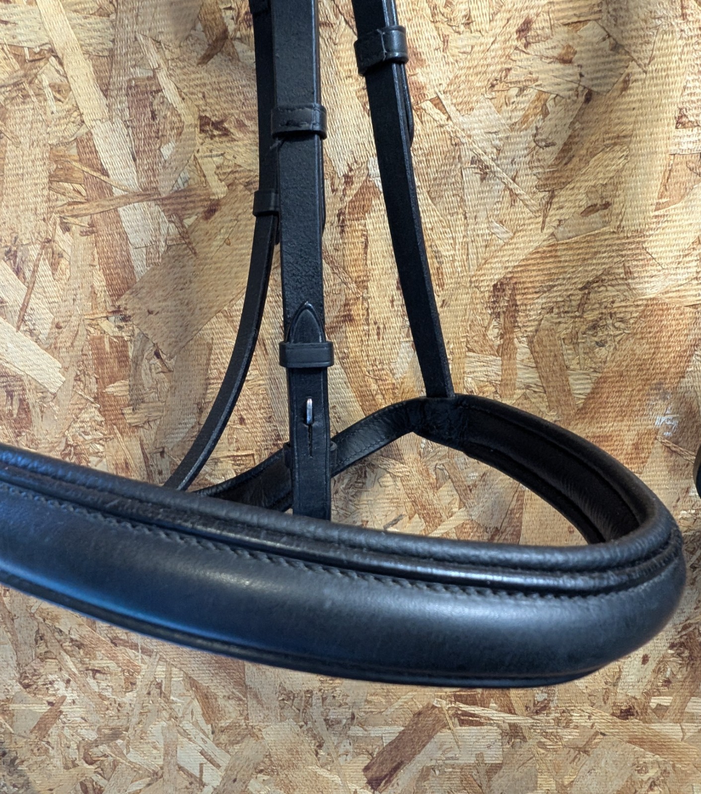 VESPUCCI Classic Padded Dressage Bridle $318
