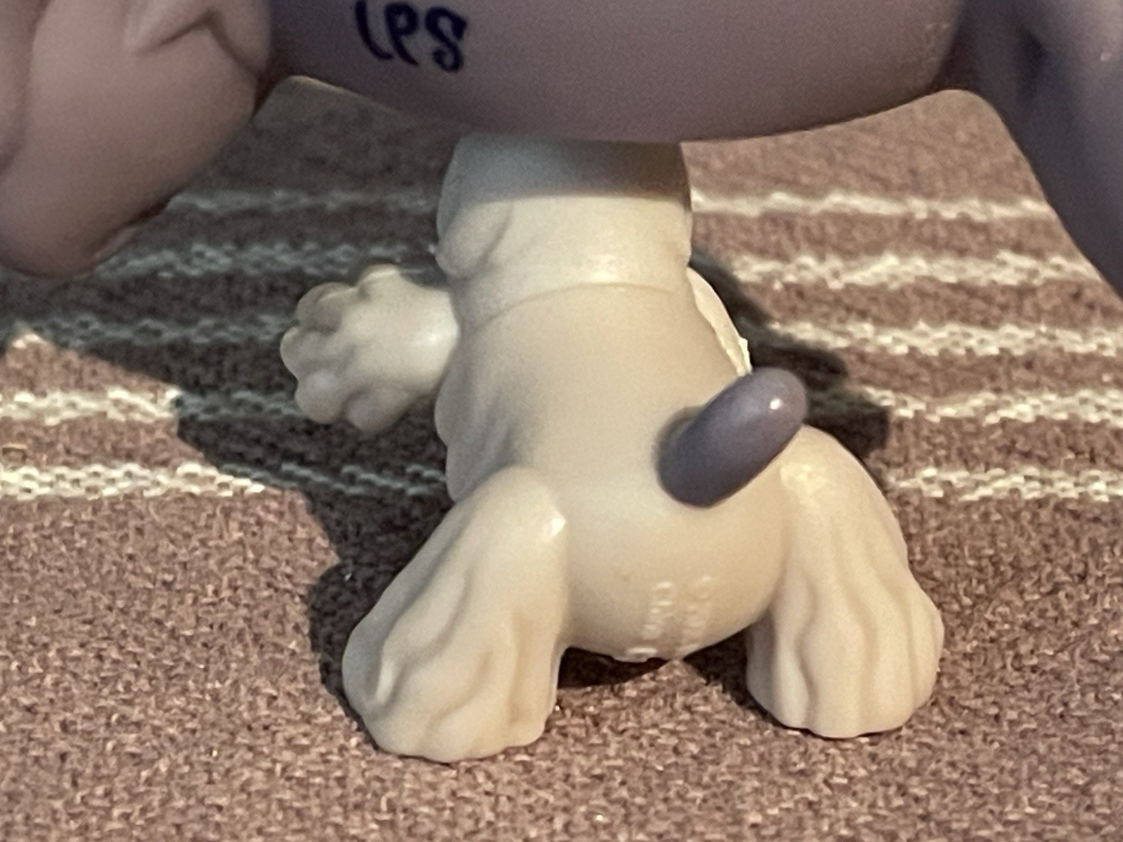 Foto 9 di 13