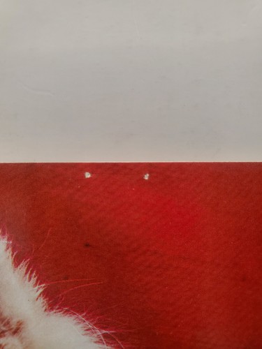 A Little Pussy for Christmas Nice 'N' Sleazy VTG Sample Promo Postcard 5"x7" - Picture 3 of 5