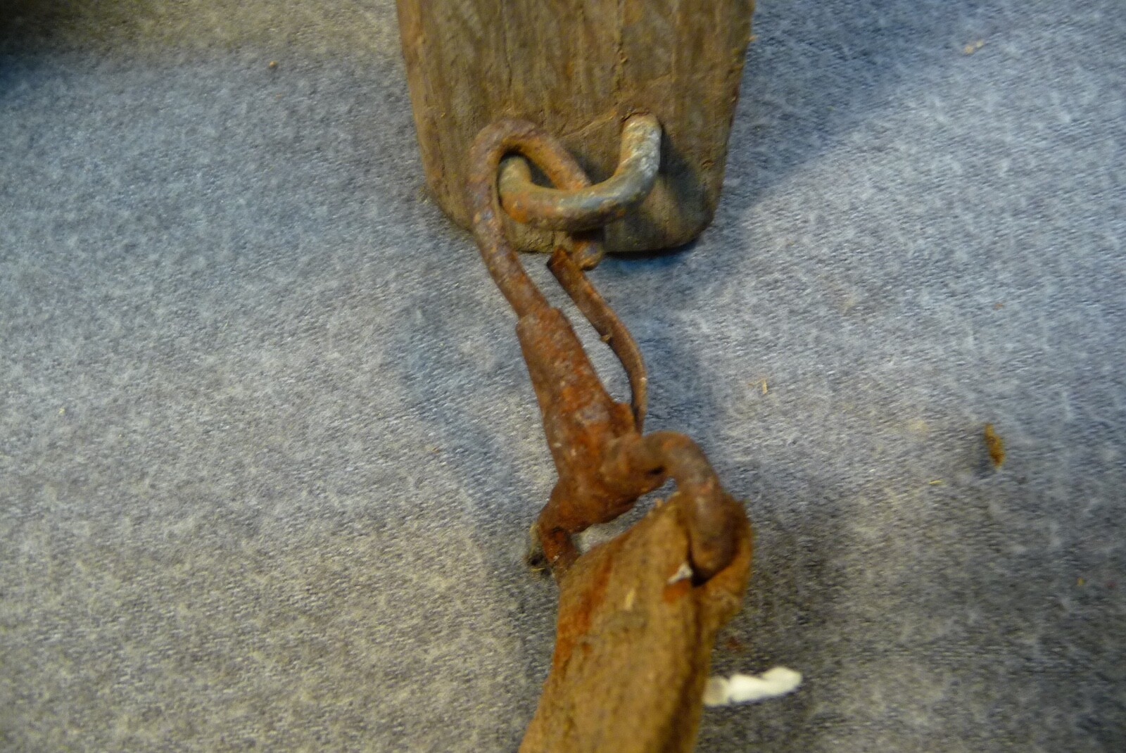 Bild 11 von 16