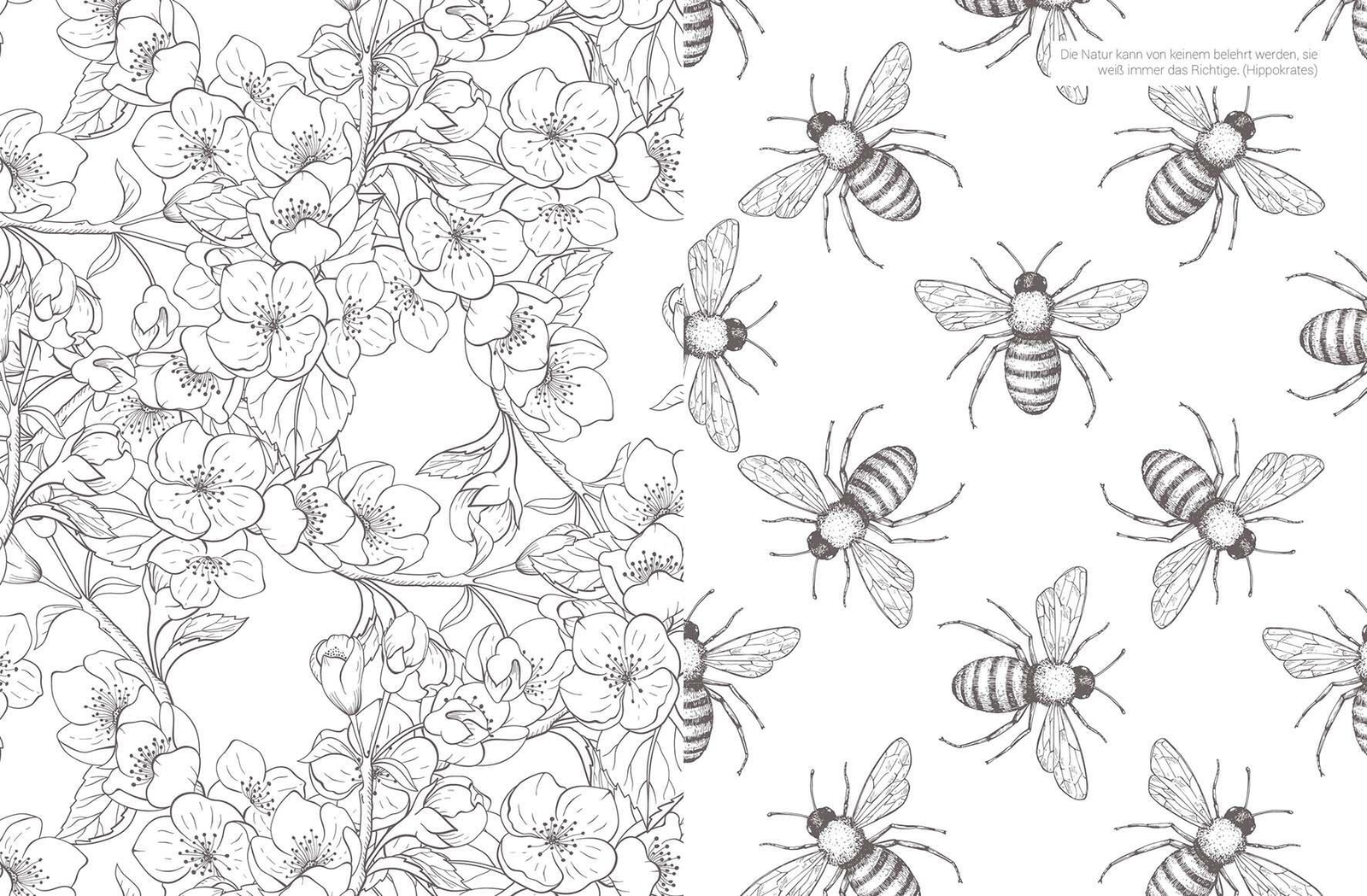 Thumbnail - Inspiration Blumenwiese 50 Motive Zum Ausmalen Für Mehr Entspannung