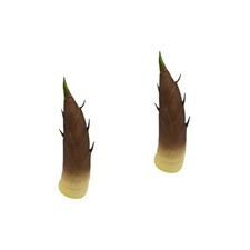 Zestaw 2 sztucznych pokarmów do ekspozycji kreatywna dekoracja warzywna