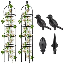 6 Ft. H Rose Bush round Trellis for Pots Rustproof Metal Fplantflower Trellises 