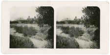 Stereo, Greece, Jadin des Dieux Vintage Stereo Card - 9x Silver Print