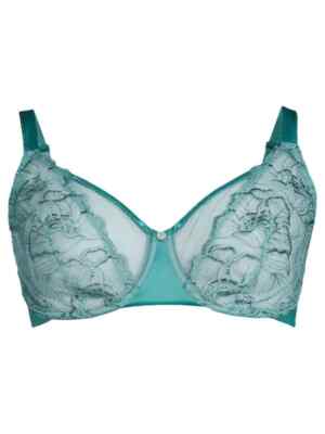 BNWT Maison Lejaby Lace Trim Push Up Bra Size 34E (DD) MSRP $117!!!