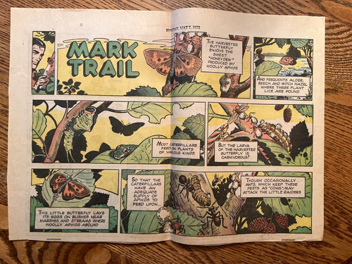 Set of Eight MARK TRAIL Cabin Decor Newspaper Comic Strip Clippings 1972