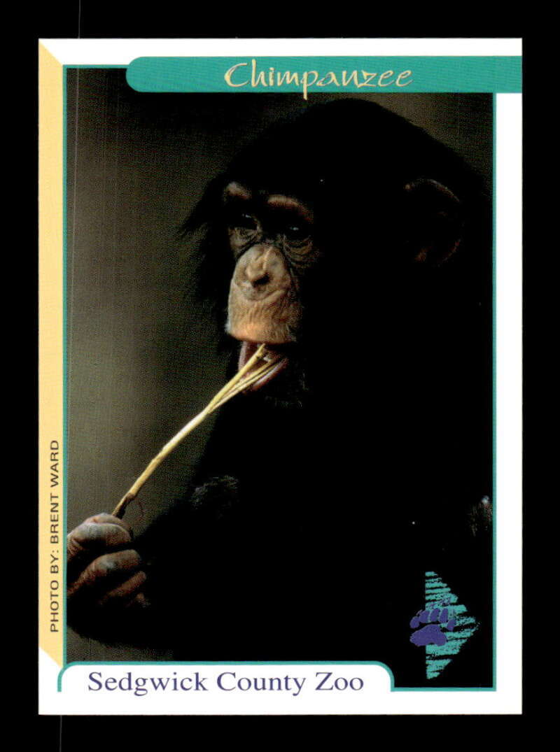 1999 Choice Wichita Wranglers Zoo #27 Toby Smith NM+ BXCP03