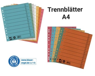 Trennblätter Register Einleger Karton für A4 Ordner (24 x 30)