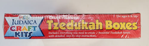 Tzedukah Boxes Pace Design Judaica Craft Kits Create Your Own Ages 6 & Up - Picture 3 of 3