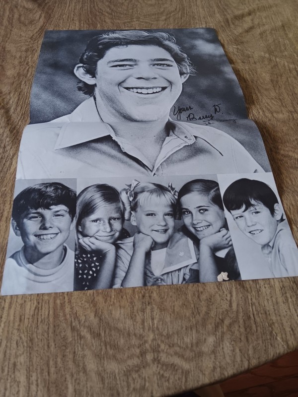 The Brady Bunch-Barry Williams TV Series-1970's Pin up Poster 11x17