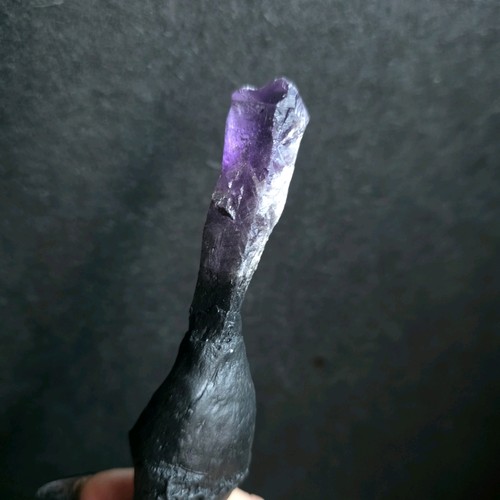 Hueso de cabra canaria real con impresionante varita hechizo de taxidermia amatista brujería - Imagen 3 de 4