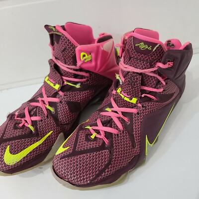 Purple 12 Double Helix Girl Lebrons 12 Nike LeBron James 12 Double