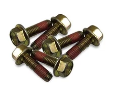 Polaris Ranger RZR Sportsman Water Pump and Head Cover Bolts (Set of 6) 7516822