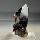 SS Rocks - Smoky Quartz with "Bladed" Goethite (Lake George, Colorado) 41g — photo 6